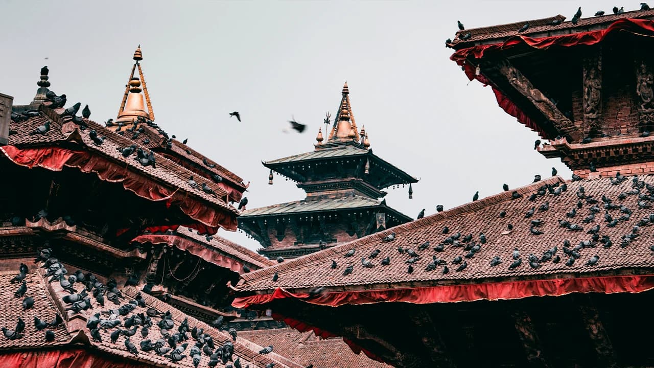 Ancient temple rooftops with birds, Kathmandu Durbar Square