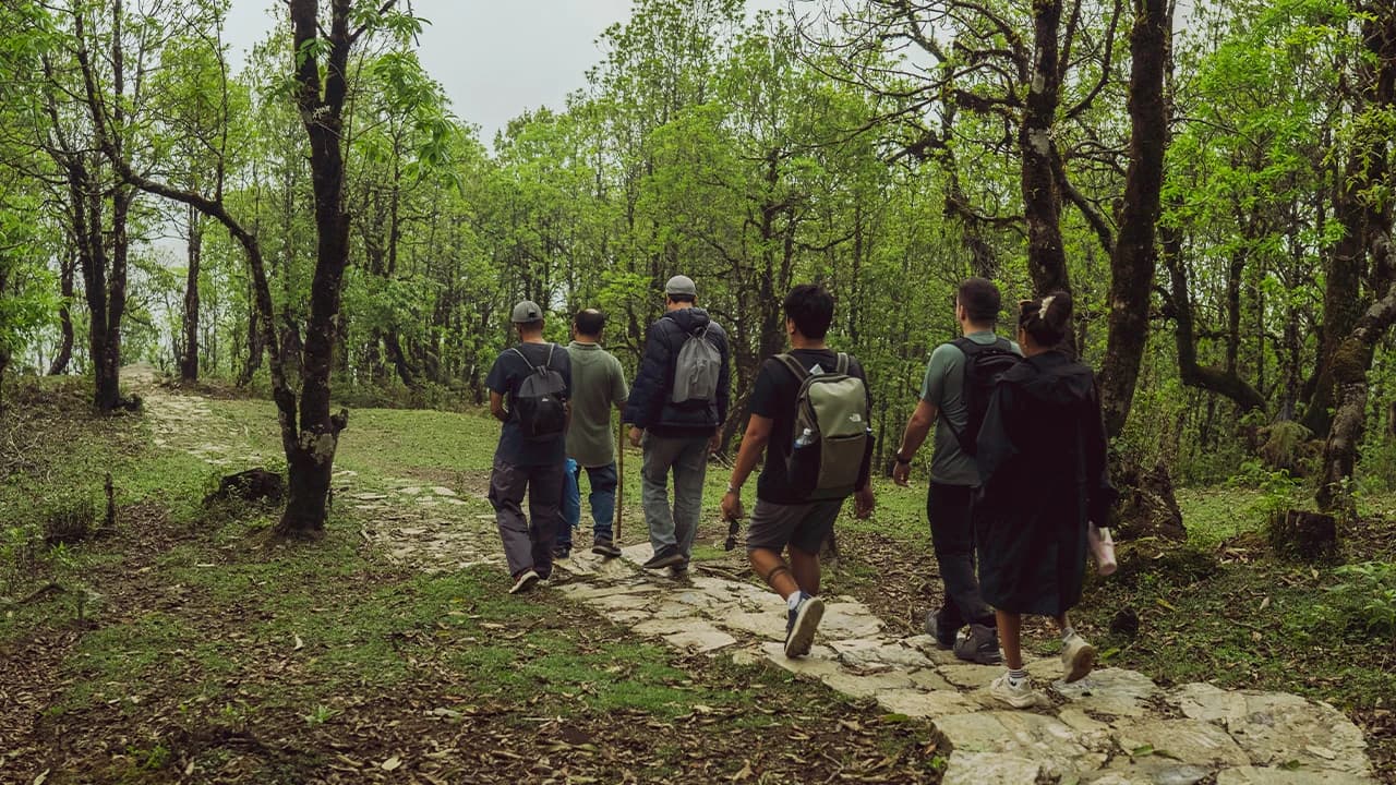 Jeep safari in Chitwan National Park