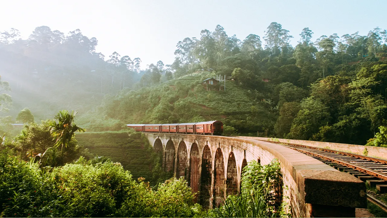 Scenic Train Journey