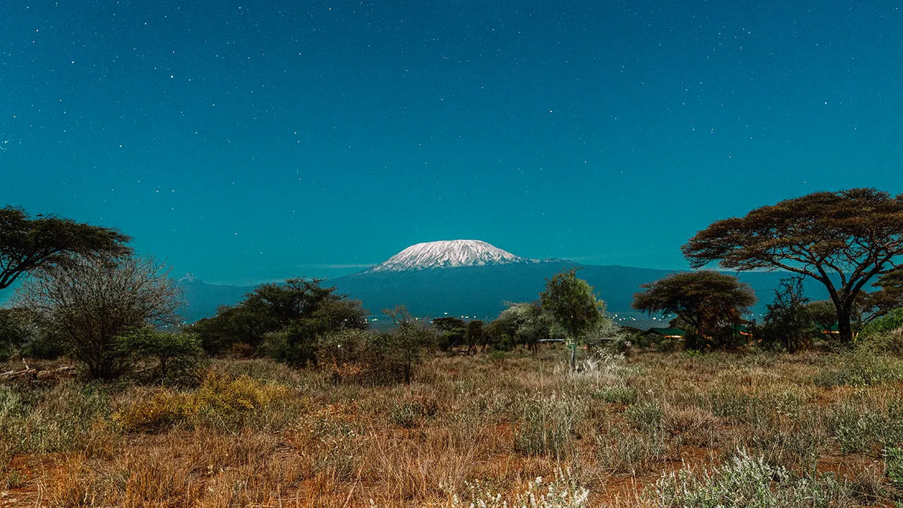 Kilimanjaro minitrek through the rainforest