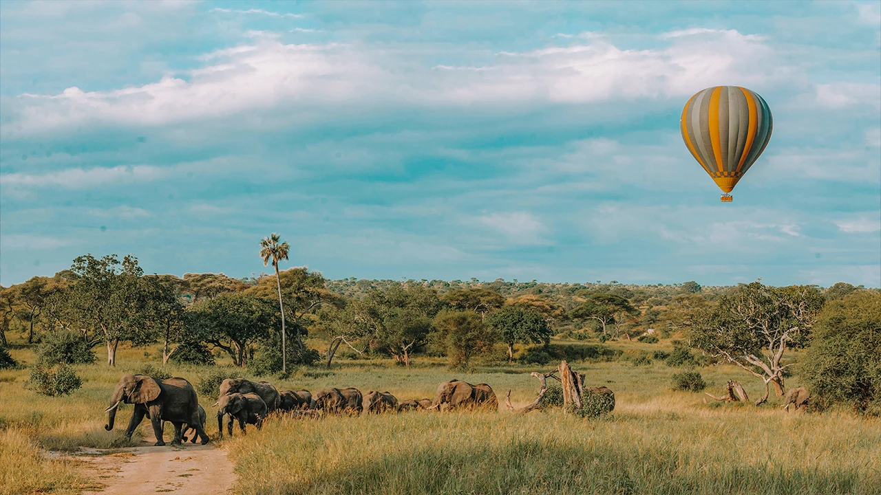 Tarangire National Park game drive