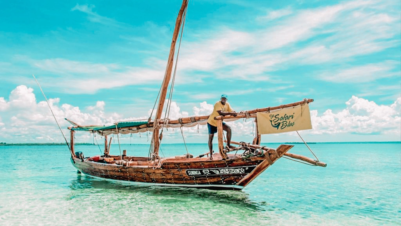 Swimming with dolphins off Zanzibar