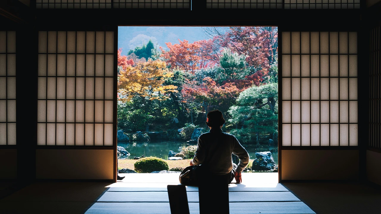 Japan Adventure (Winter)