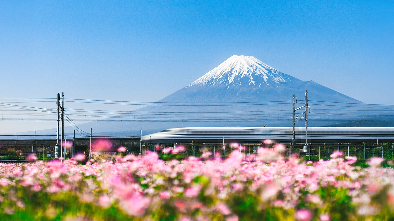 Famous Bullet Train
