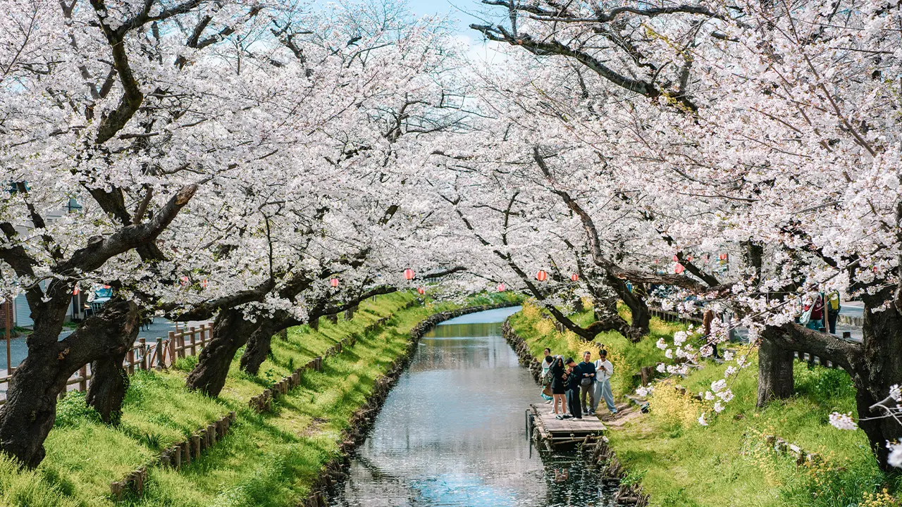 Japan winter travel photo 6