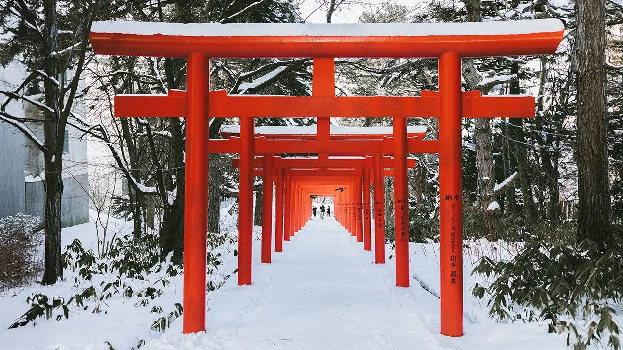 Japan winter travel photo 7