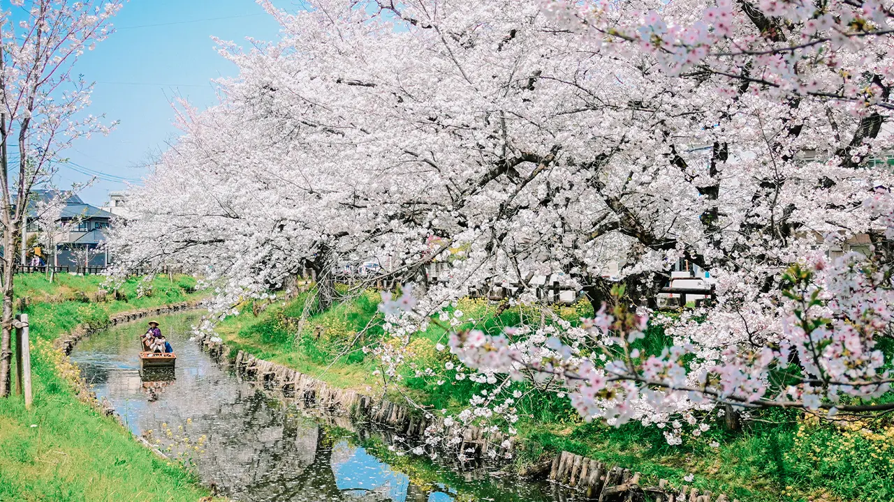 Japan winter travel photo 2