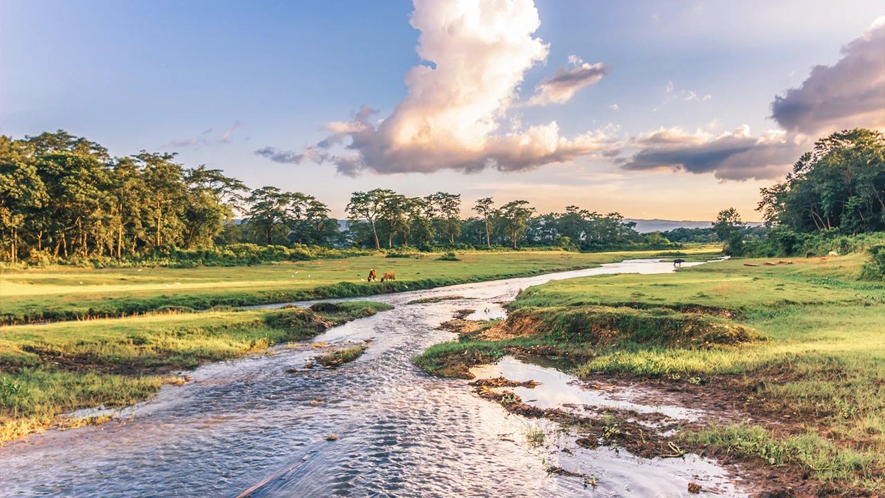 River winding through lush jungle in Chitwan National Park