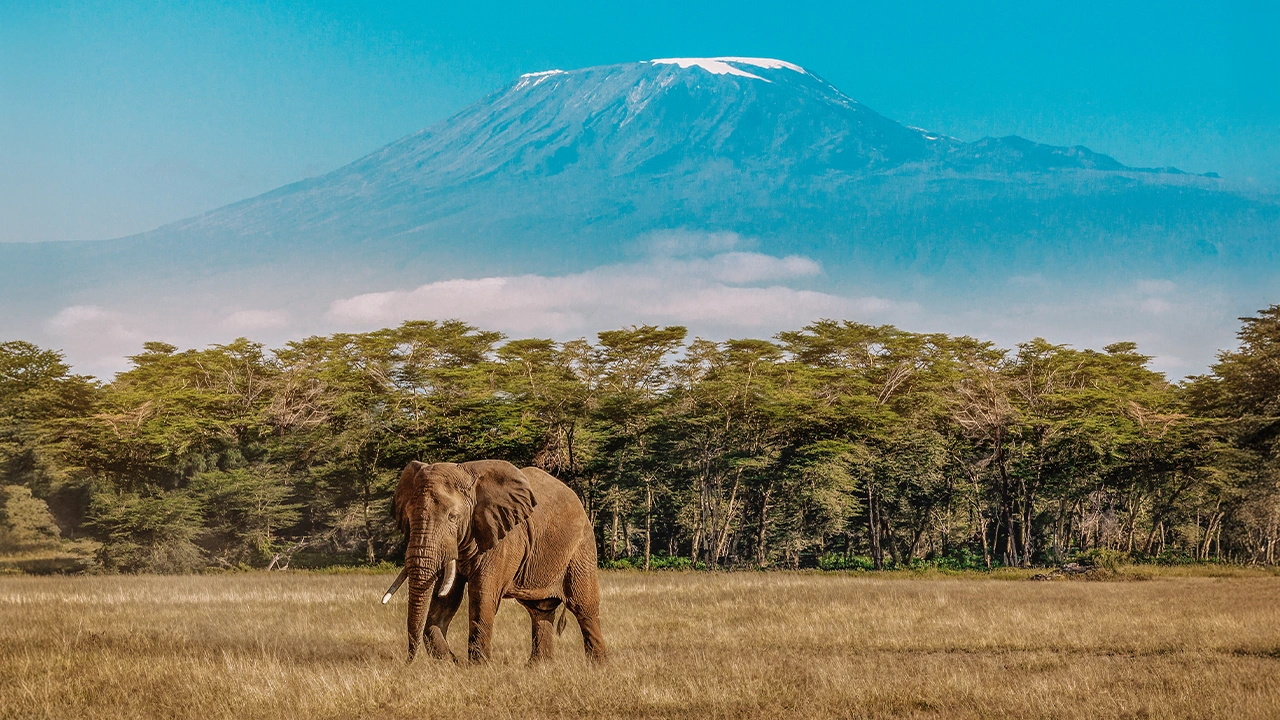 Tanzania Exploration